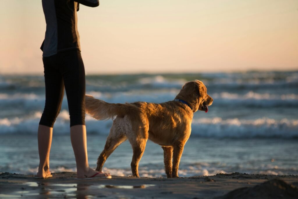 A golden retriever and woman enjoying a serene sunset. Wilmington beaches